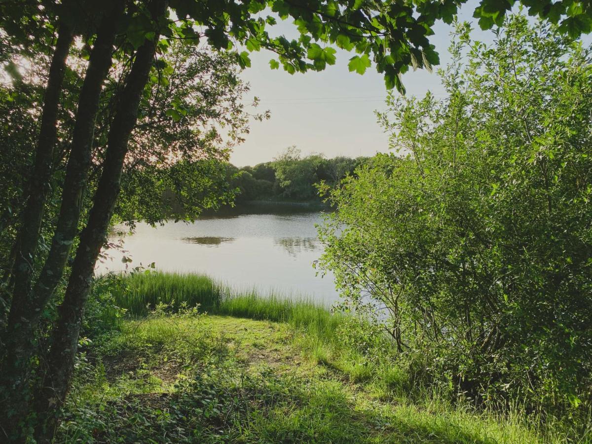 Timber Hill Self Catering Cedar Lodges Broad Haven Kültér fotó