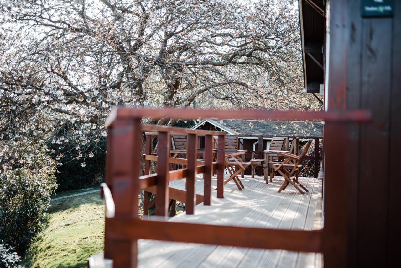 Timber Hill Self Catering Cedar Lodges Broad Haven Kültér fotó