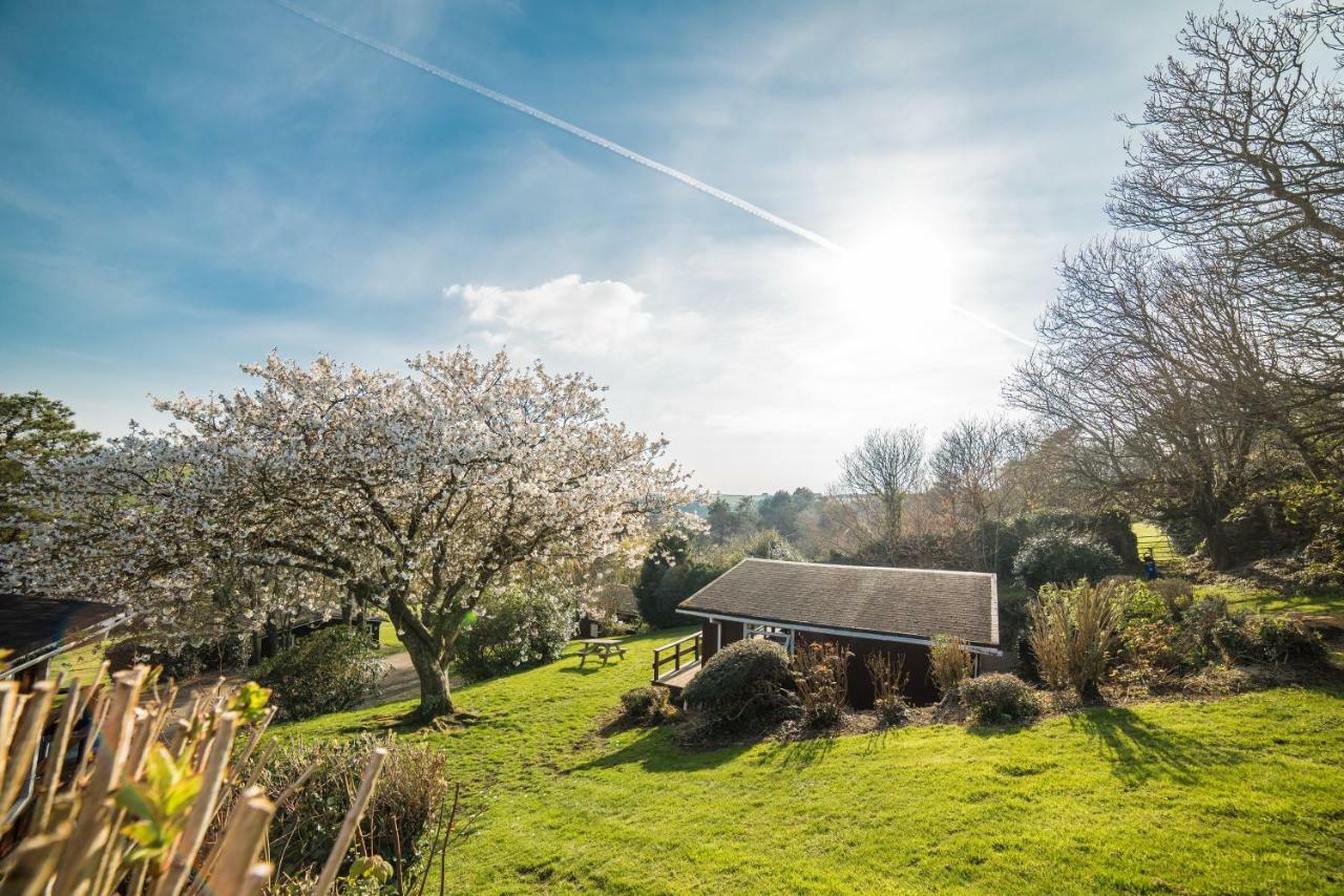 Timber Hill Self Catering Cedar Lodges Broad Haven Kültér fotó